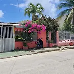 Raizal House